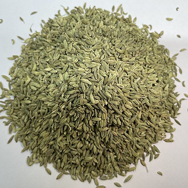 Fennel Seed