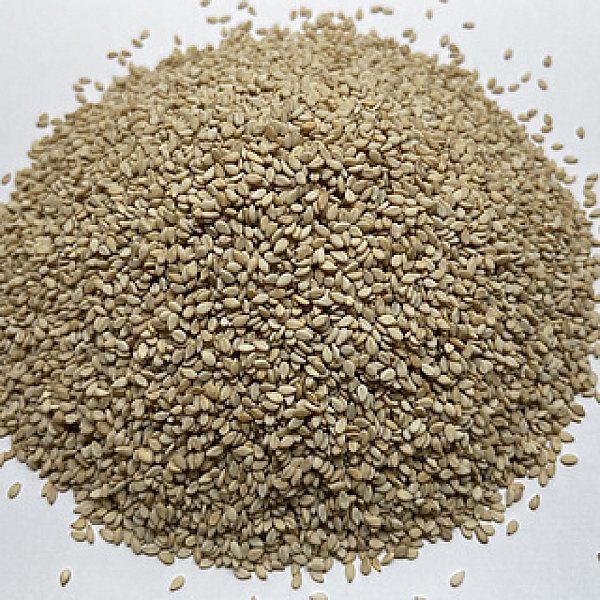 Sesame Seed
